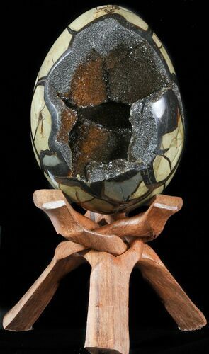 Septarian Dragon Egg Geode - Black Crystals #48002